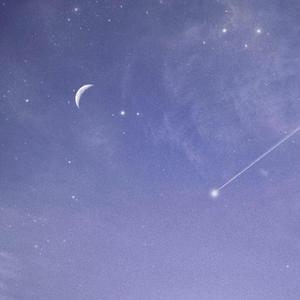 人与动物兽交视频
