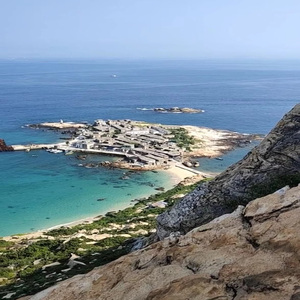 人与动物兽交视频
